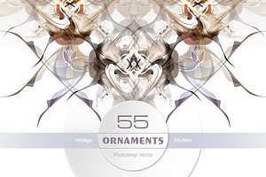 Vintage ornament, modern