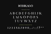 Bodikago Luxury Serif Font, a Serif Font by UICreative (Thumbnail 5 of 5)