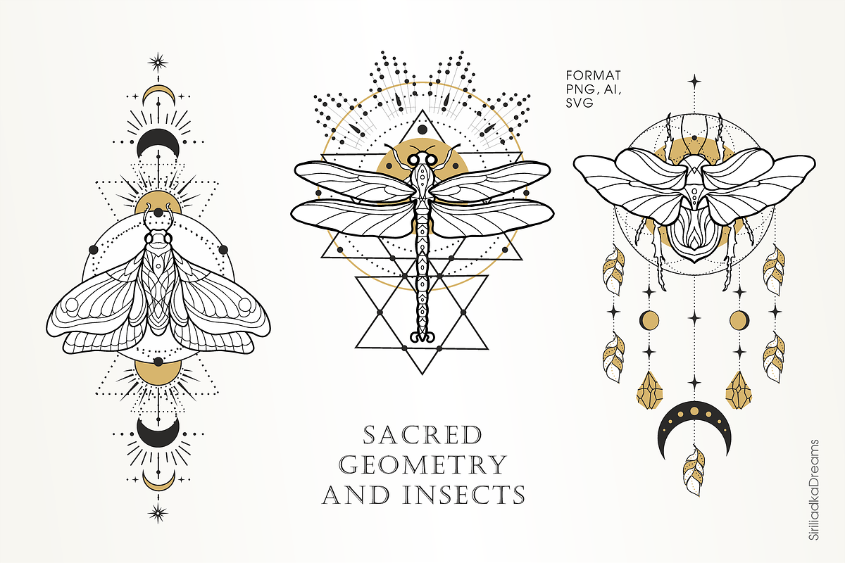 Skakralny geometry and beetles, an Illustration by Siriliadka Dreams (Photo 6 of 10)