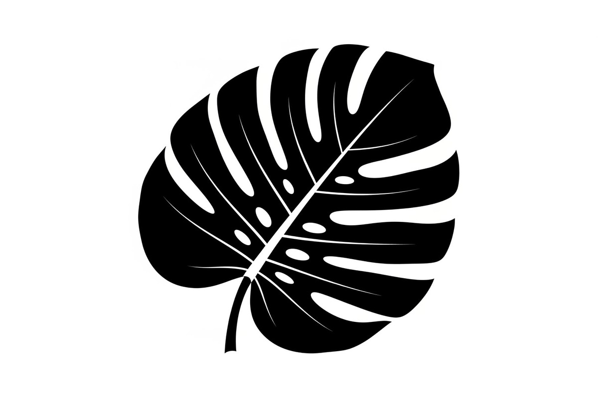 Monstera Leaf Silhouette Bundle, an Illustration by yasushie (Photo 26 of 31)