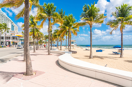 Fort Lauderdale, a Nature Photo by Maria Kray