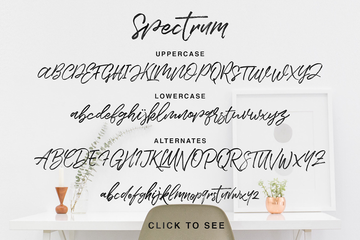Spectrum, a Script Font by Get Studio (Photo 9 of 9)