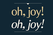 JT Douro Sans, a Sans Serif Font by JAM Type (Thumbnail 4 of 11)