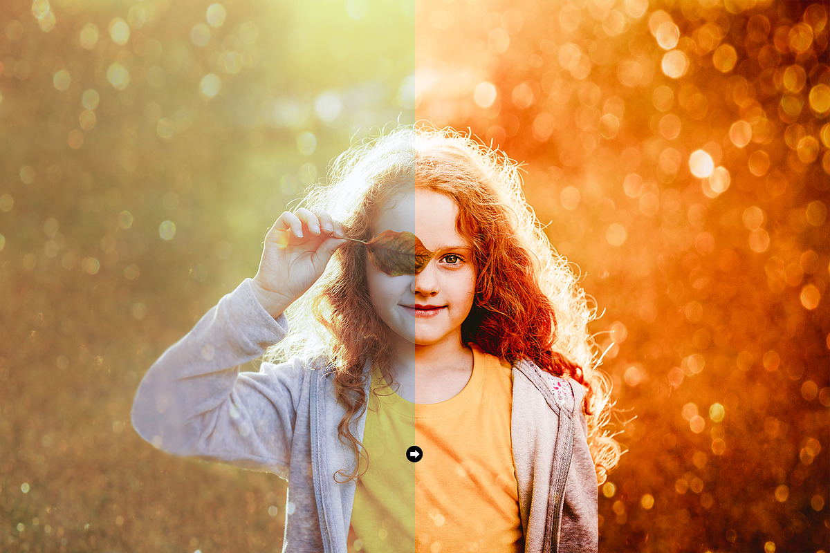 450+ Bundle Lightroom Presets preview 6