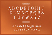 Reihard Sejenak | Modern Serif, a Serif Font by Denustudios (Thumbnail 10 of 13)