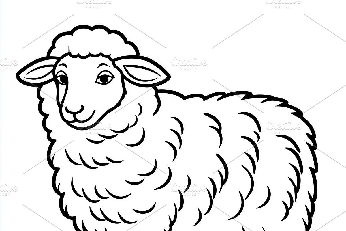 Cartoon sheep standing, looking forward with thick wool, a farm animal line art, an Illustration by Studio ANNA