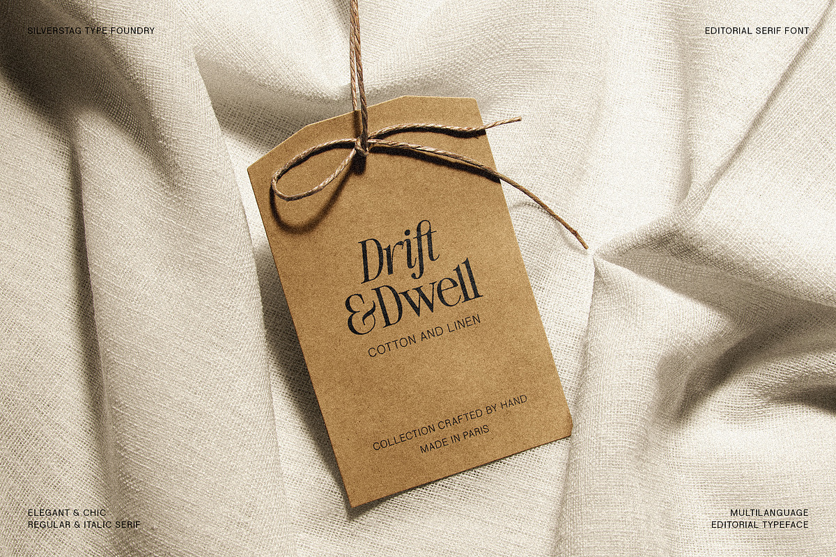 The Silver Editorial Serif Font, a Serif Font by SilverStag Type Foundry (Photo 15 of 25)