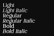 Juliette Editorial Serif (6 Fonts), a Serif Font by Schrifted Type (Thumbnail 4 of 9)