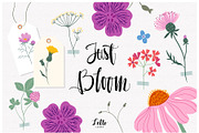 Meadow flowers collection, an Illustration by Letto studio (Thumbnail 4 of 7)