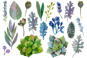 Watercolor Succulents Set