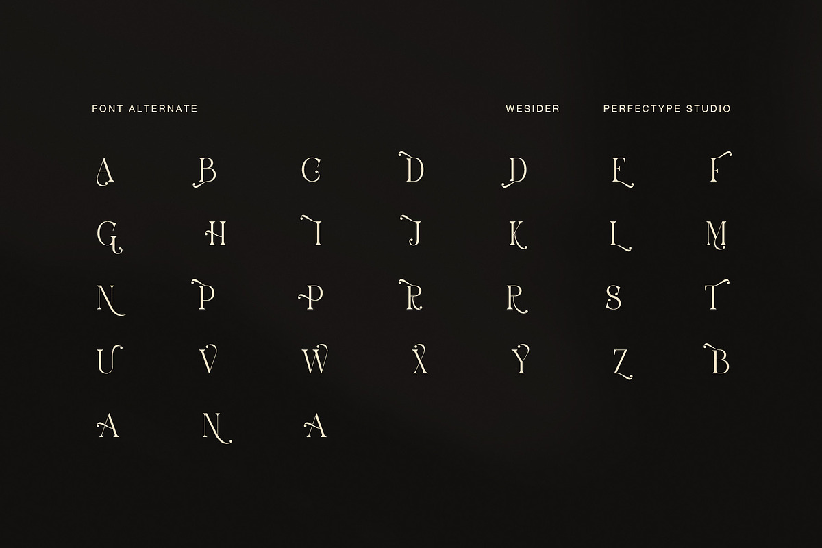 Wesider Elegant Serif Font, a Serif Font by Perfectype (Photo 8 of 8)