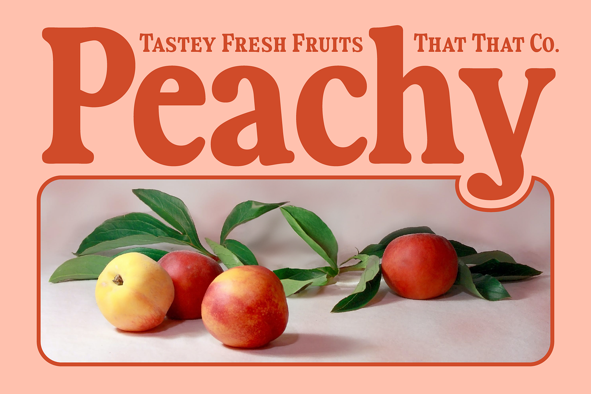 Fiyona Retro Variable Font, a Serif Font by That That Creative (Photo 18 of 24)