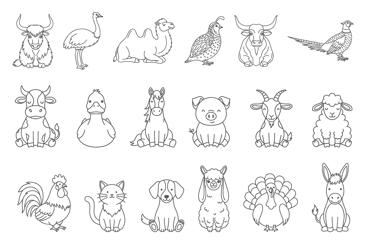 Farm and Domestic Animal Vector Icon, an Animal Illustration by MkStudio (Photo 1 of 2)
