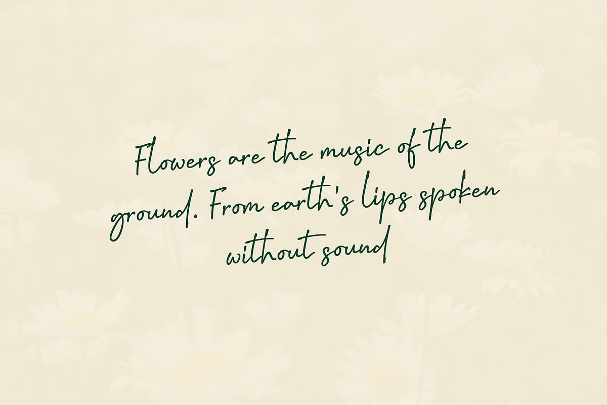 Coldia, a Handwritten Font by Lafontype (Photo 7 of 8)