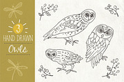 Night Creatures - Owl Clipart Vector, an Object Graphic by The Pen and Brush (Thumbnail 3 of 7)