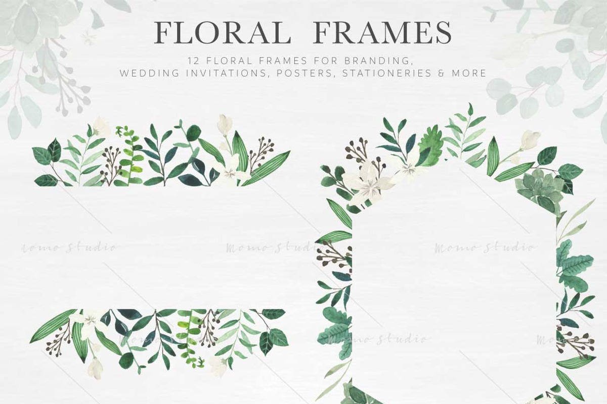 Modern Botanicals Florals & Leaves, an Illustration by Momo Studio (Photo 3 of 15)