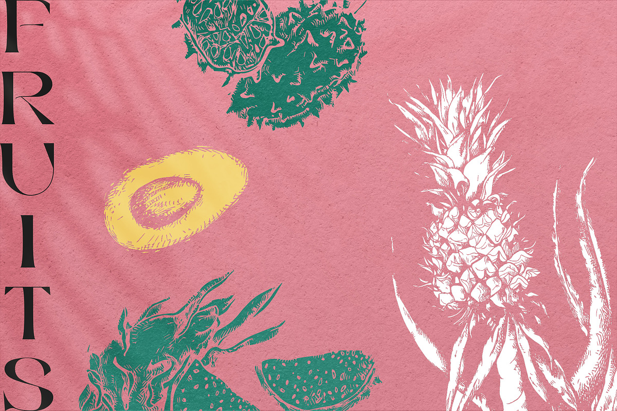 Tropica Collection, a Seasonal Illustration by Michael Rayback Design (Photo 12 of 15)