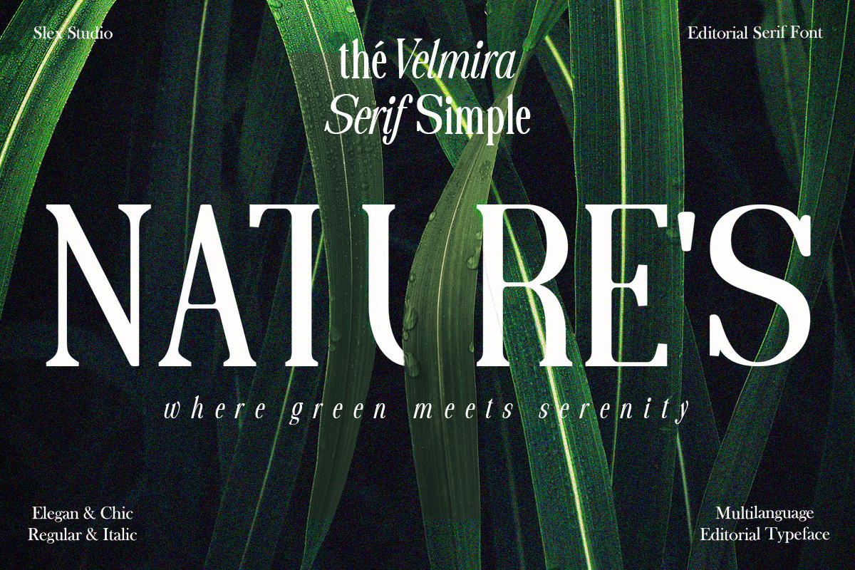 The Velmira Serif Simple, a Serif Font by Slex Studio (Photo 14 of 15)