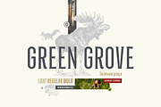 Green Grove // 3 fonts, a Serif Font by True Story Letterworks (Thumbnail 1 of 12)