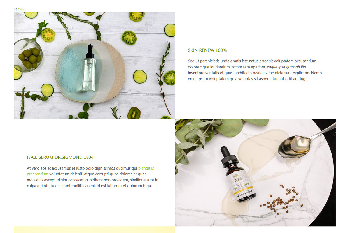 Dr. Sigmund - Wordpress Theme, a WordPress Template by inSTUDIO43 (Photo 5 of 6)