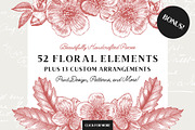 36 Plant & Flower Illustrations, an Illustration by Century Library (Thumbnail 2 of 7)