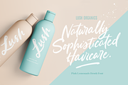 Pink Lemonade Brush Font, a Script Font by Nicky Laatz (Thumbnail 7 of 12)
