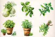 Watercolor Herbs Clipart, an Object Illustration by Digital Artistic99 (Thumbnail 4 of 11)
