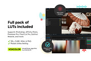 20 Memoirs Lightroom Presets & LUTs, a Preset Add-On by SparkleStock (Thumbnail 17 of 17)