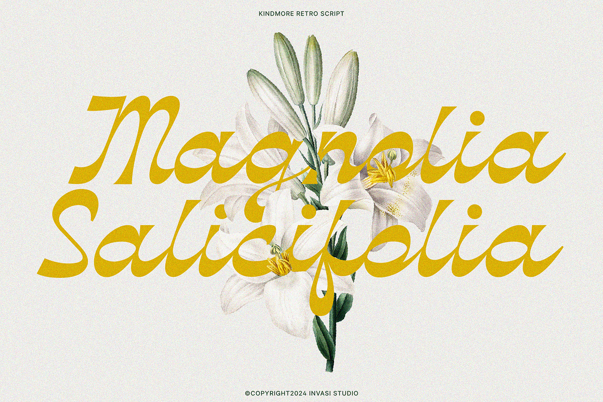 Kindmore - Reverse Script, a Script Font by Invasi Studio (Photo 8 of 11)
