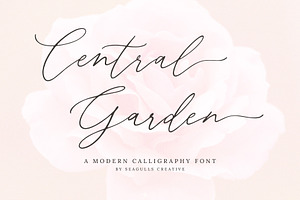 Central Garden Calligraphy Font