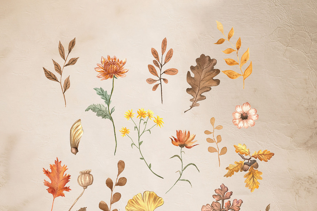 Autumn Moments Watercolor Collection, a Seasonal Illustration by ViolettaKh (Photo 2 of 8)