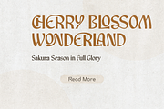 Neroshay – Sans Serif Font, a Sans Serif Font by NDNL Studio (Thumbnail 4 of 9)
