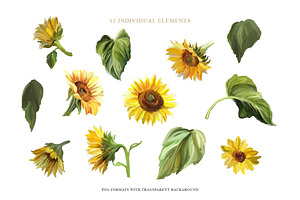 Sunflowers Clipart Collection