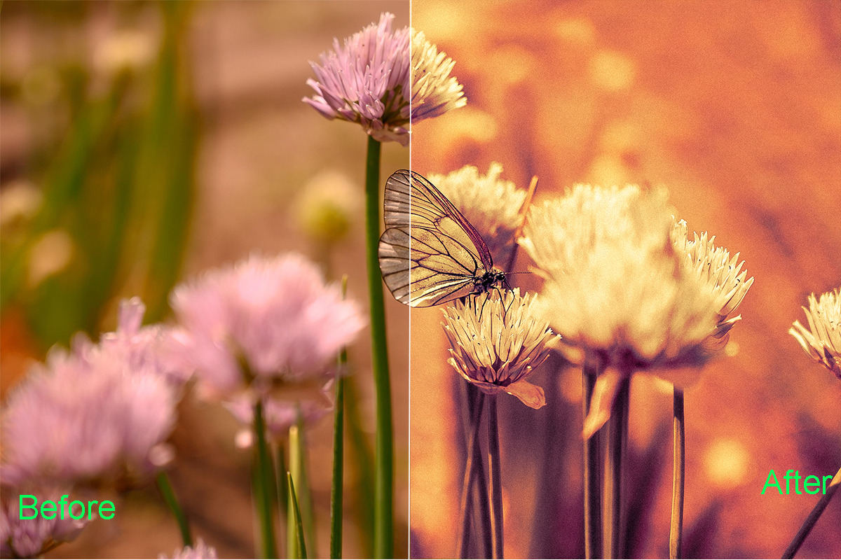 Summer Photoshop Actions 290 Bundle, an Action Add-On by ARTNEST (Photo 12 of 12)
