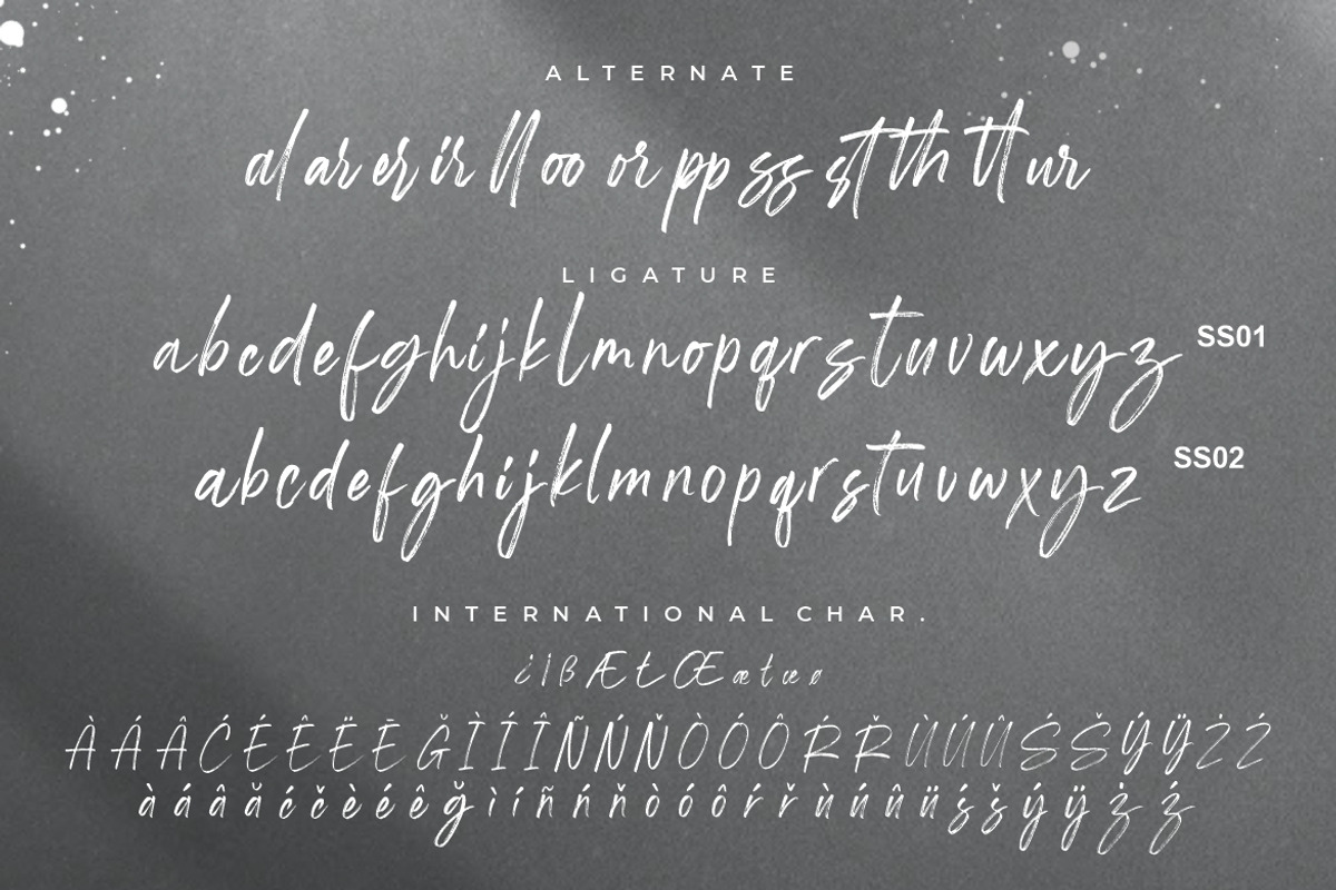 Shutterland Handbrush Script, a Script Font by Creatype Studio (Photo 9 of 9)