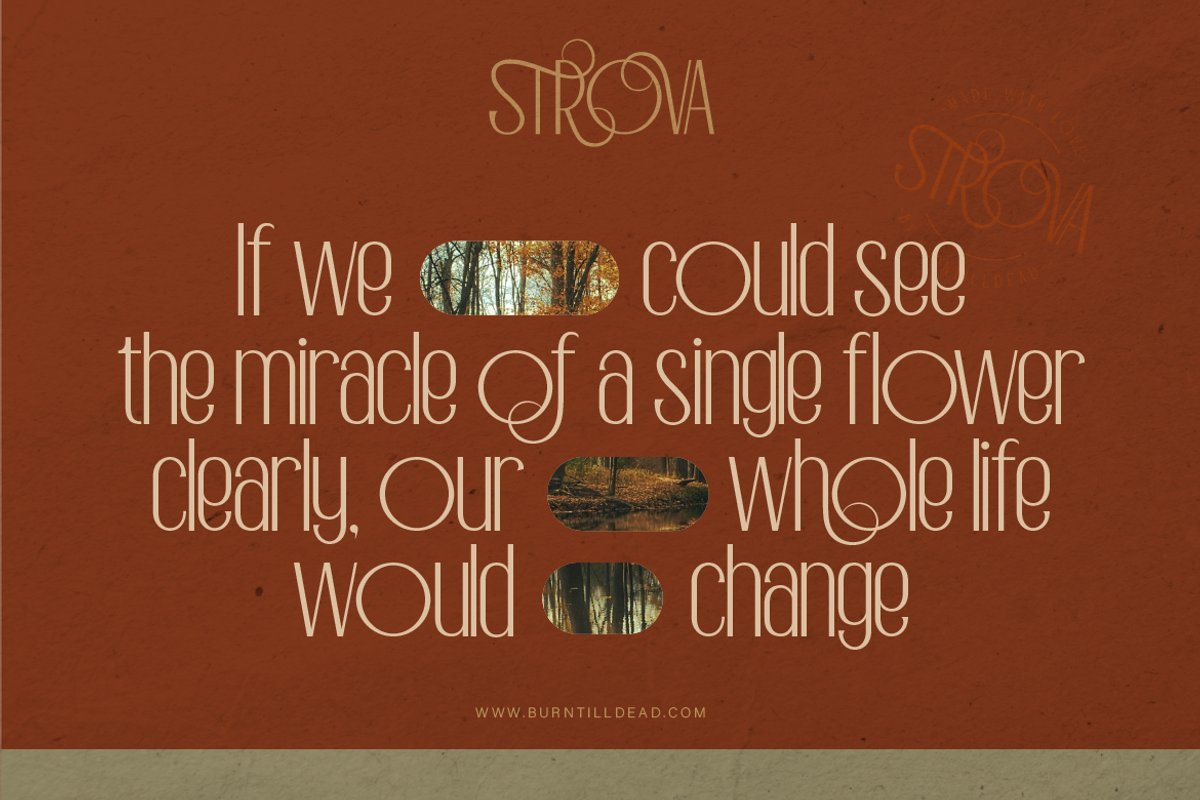 Strova, a Sans Serif Font by Burntilldead (Photo 12 of 12)