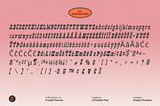 CS Ralphie Pixel, a Slab Serif Font by Craft Supply Co. (Thumbnail 8 of 8)