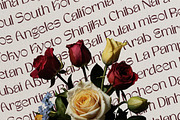 Floweria - Beauty Sans Serif Font, a Sans Serif Font by Baleee (Thumbnail 6 of 17)