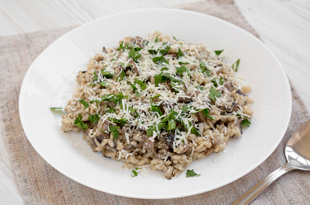 Homemade mushroom risotto on a white plate on a white wooden sur, a Food & Drink Photo by LiudmylaChuhunova