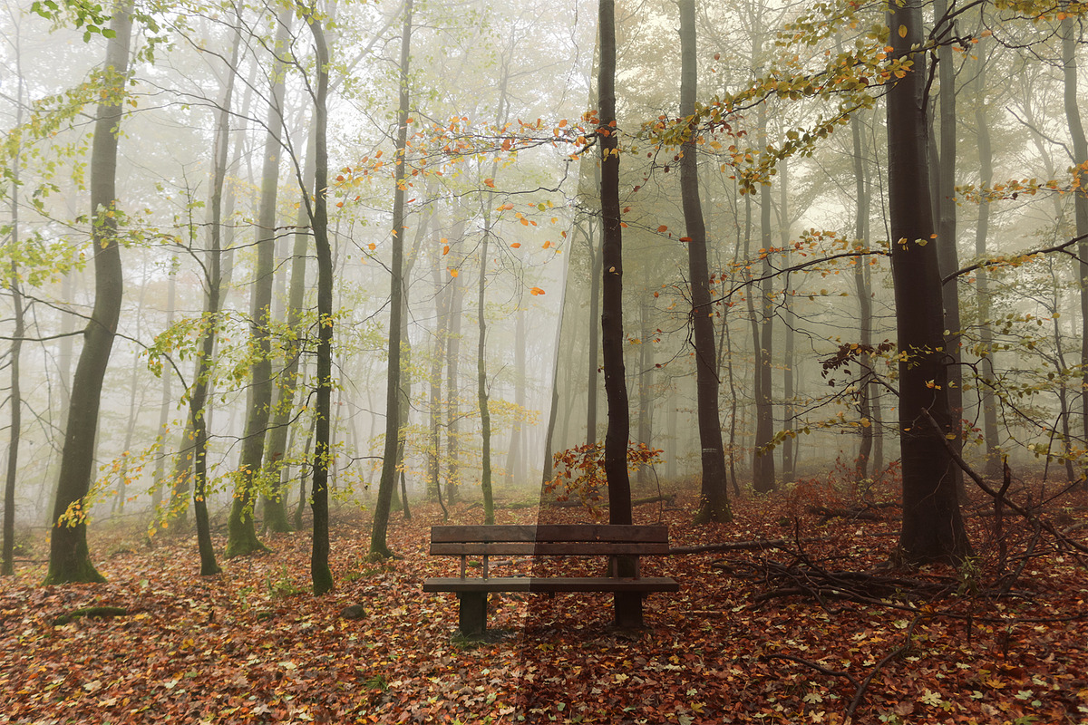 Fall - Autmun Photoshop Actions, an Action Add-On by Bato (Photo 7 of 10)