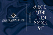 Rustler Barter, a Serif Font by ShowUp! Studio (Thumbnail 18 of 22)