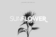 Blossom Flow - Font Duo, a Sans Serif Font by Ivan Rosenberg (Thumbnail 2 of 15)