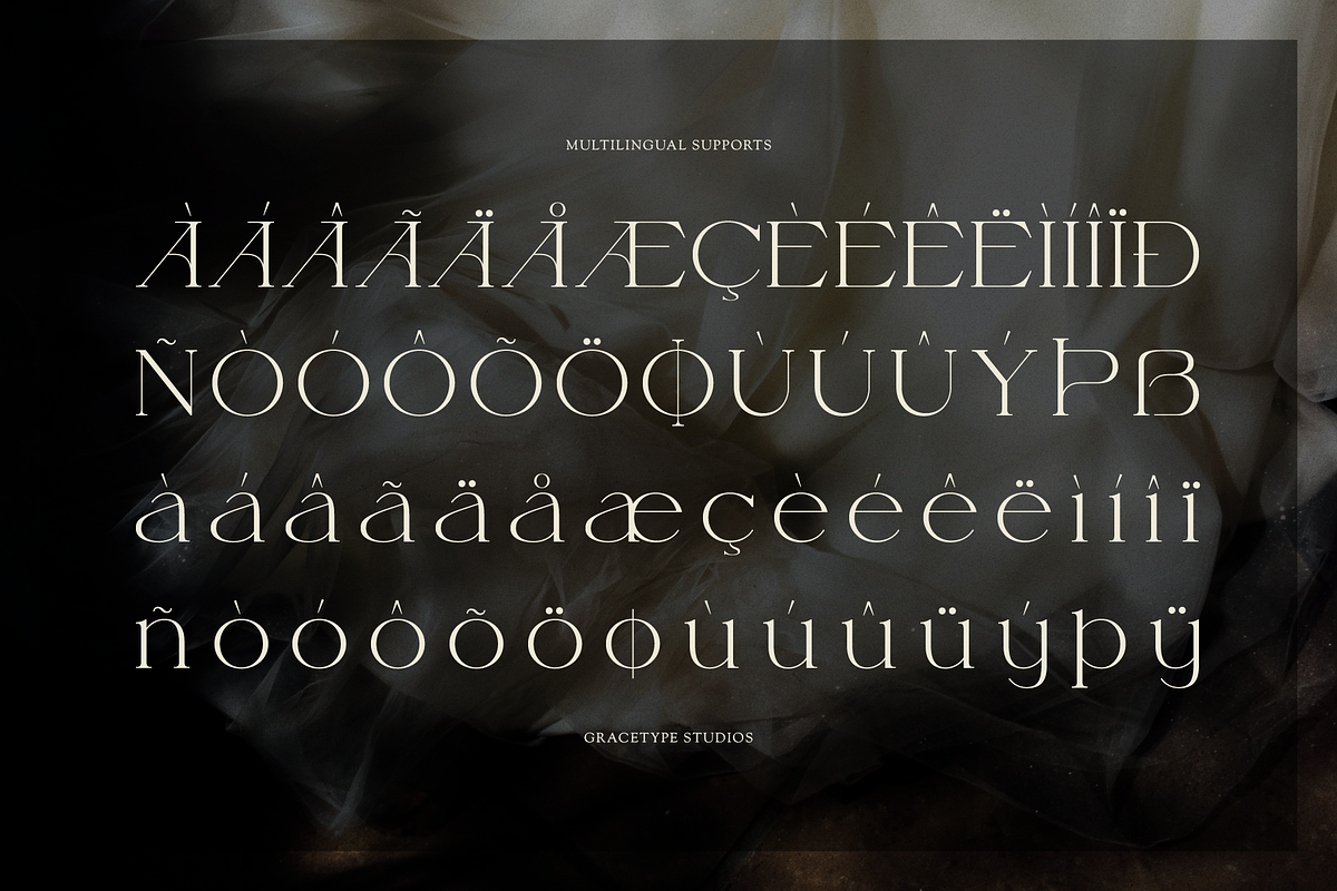 Fauden | Modern Display Serif, a Serif Font by gracetype_studio (Photo 11 of 12)