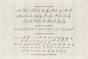 British Poems - Old Handwritten Font, a Script Font by Sarid Ezra (Thumbnail 10 of 11)