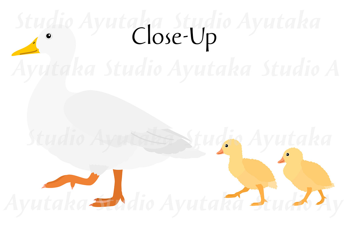 Duck Mom & Babies Clipart Set, an Animal Illustration by dogsinarow (Photo 2 of 3)