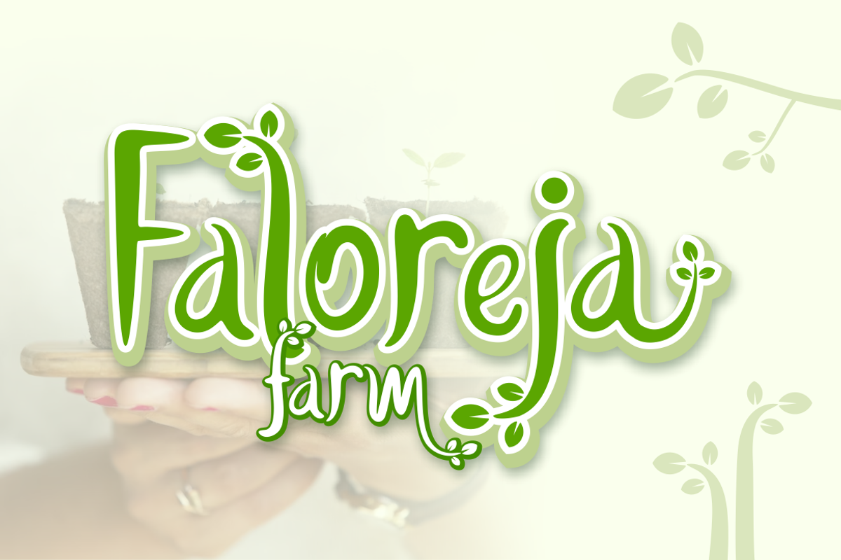 Balgonbe Font, a Handwritten Font by Onotype (Photo 3 of 6)