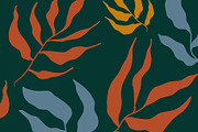 Vector Seaweed Graphics, a Background Graphic by Dorey Kronick Art&Design (Thumbnail 2 of 9)