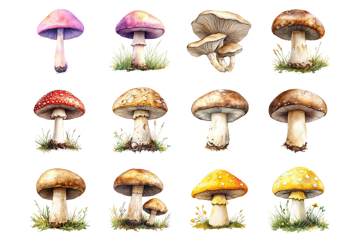 Mushrooms Clipart, an Illustration by Design Market (Photo 2 of 4)