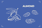 NUTS LINE ART SET (15+ elements), a Food Illustration by Bonfloret Studio (Thumbnail 3 of 10)