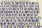 However - Pixel Serif Font, a Serif Font by 177Studio (Thumbnail 8 of 8)